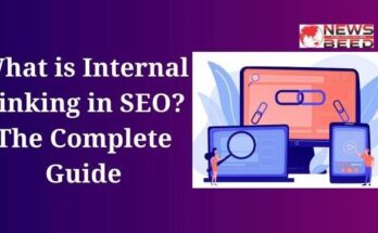 What is Internal Linking in SEO