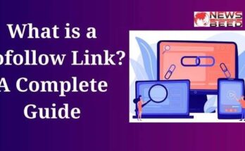 What is a Dofollow Link